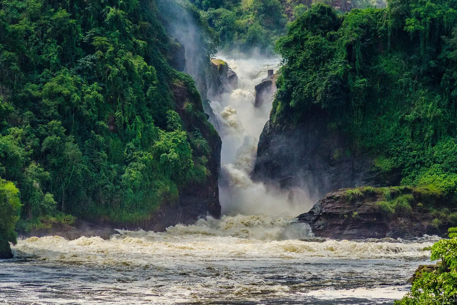 🐘 Murchison Falls National Park