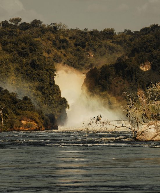 Murchsion Falls National Park